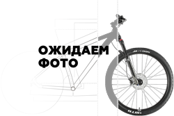 Женский велосипед DEWOLF TRX 55 (2019)